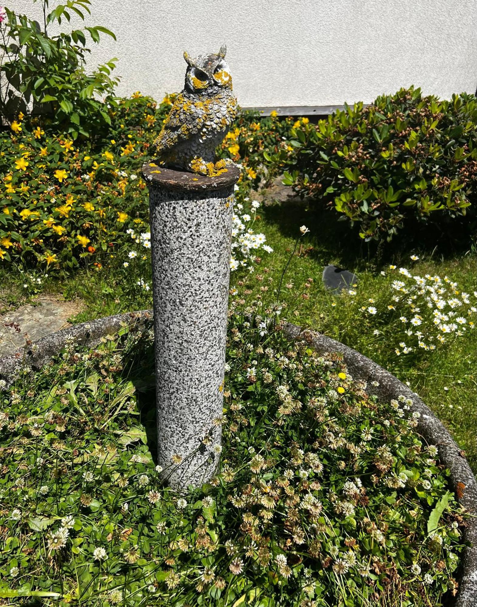 Eifeleule